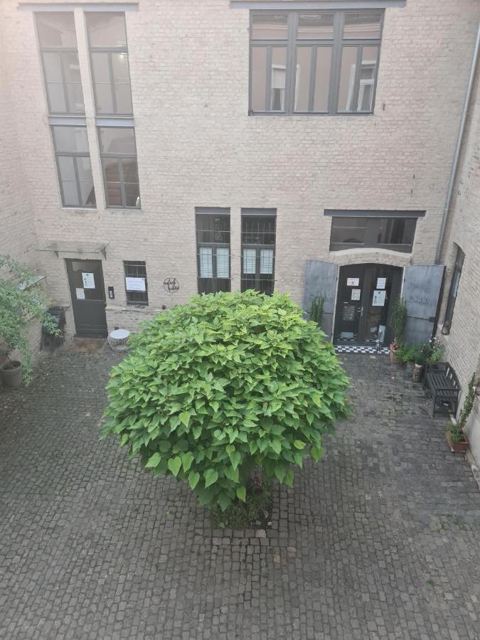 Loftapartment Im Historischen Fabrikambiente Geisenheim Exterior photo